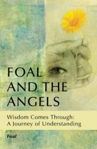 Foal and the Angels: Wisdom Comes Through: A Journey of Understanding